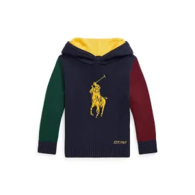 Big Pony Cotton Hooded Sweater (Little Kids)