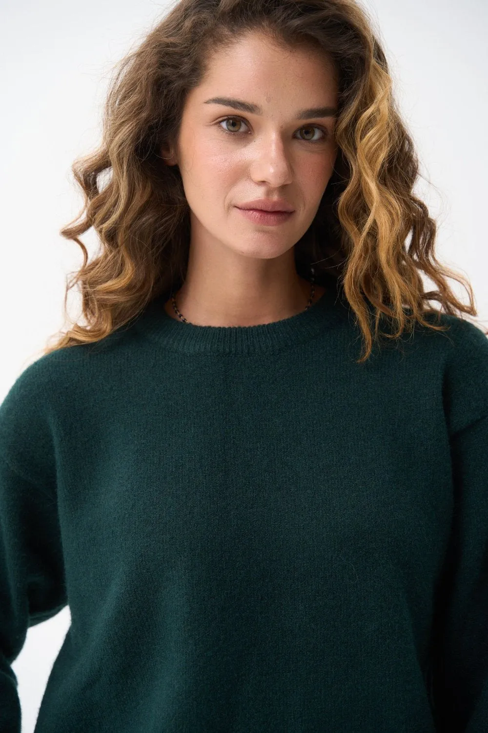 Wool sweater in color green